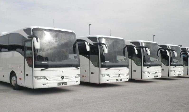 Germany: Bus company in Rhineland-Palatinate in Rhineland-Palatinate and Germany