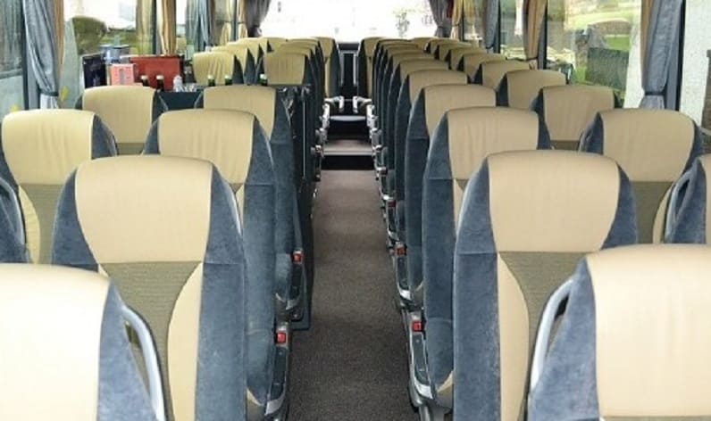 Germany: Coach operator in Lower Saxony in Lower Saxony and Lingen